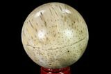 Polished Petrified Palmwood (Palmoxylon) Sphere #167623-1